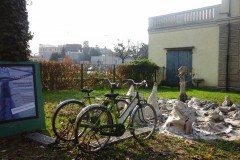 18 novembre Bici di luce