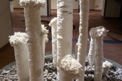 Installazione L'anima del bosco