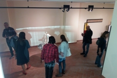 Installazione L'anima del bosco