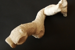 Radice 3, 2013