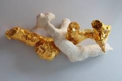 GINGER (e FRED) 2014