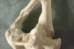Radice 4, 2013