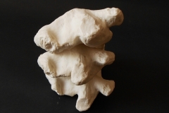 Radice 4- ossa della terra#02, 2013