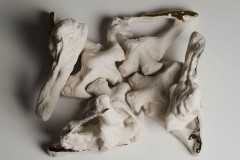 Convergenze divergenti, 2014
